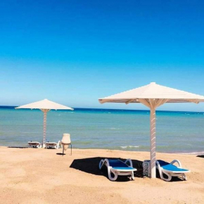 سيلينا باي selena bay